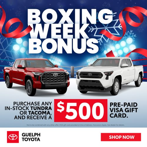 2025-12-GT-Boxing-Week-1200-1200