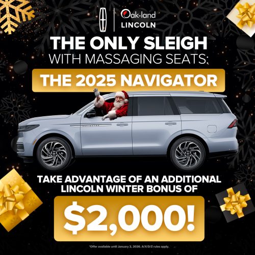 the-only-sleigh-1200-1200